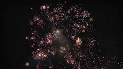 #24474 盆花60x0.8"/4x1.0" 64发数