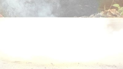 #17140 FIRECRACKERS Firecrackers no.8 FUSE