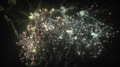 #23587 盆花1.2 25发数