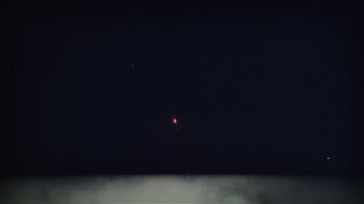 #15738 盆花0.8 25发数