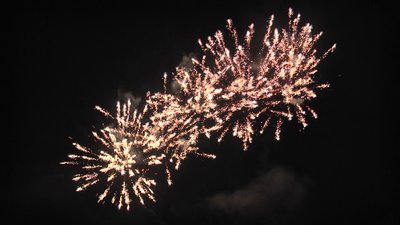 #23587 盆花1.2 25发数