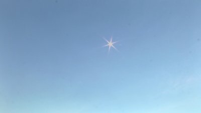 #24457 烟雾 盆花 1.2" 36.0 shots