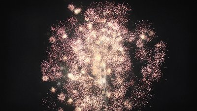 #25006 Compact 1.2 12 coups