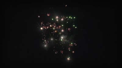 #25009 盆花1.0 4发数