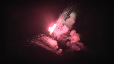 #25010 盆花1.2 16发数