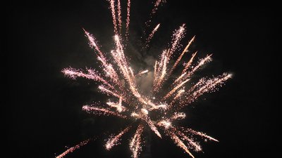 #25046 Cakes 1.2 12 shots