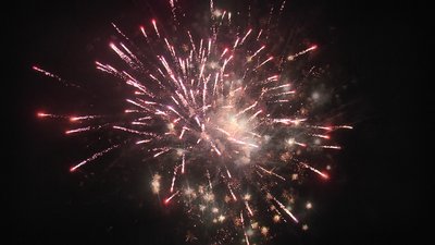 #25047 盆花1.2 12发数