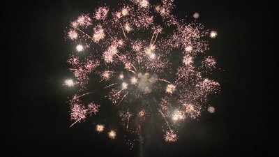 #25050 盆花1.2 15发数