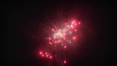 #25054 盆花1.2 16发数