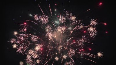 #25055 盆花1.2 16发数