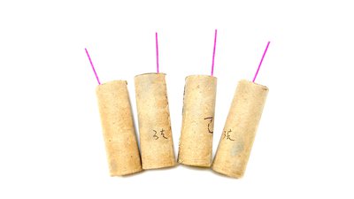 #25059 FIRECRACKERS Crazy robot