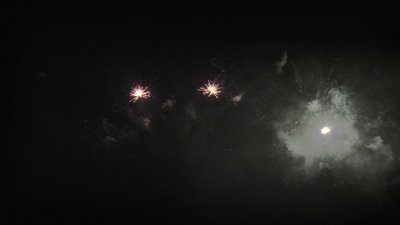 #20234 Cakes 1.2 25 shots