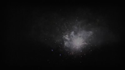 #25140 盆花0.8 25发数