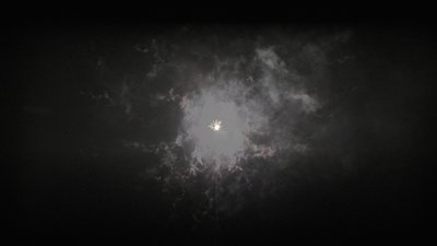 #25146 盆花1.2 25发数