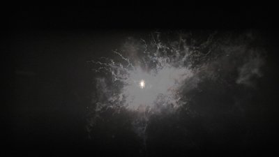 #25152 盆花1.2 36发数