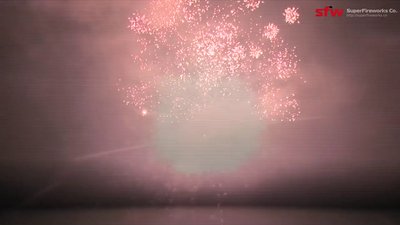 #25092 Compact 116x0.8"/240x1.0" 356 coups