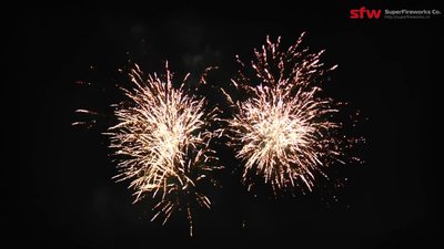 #25096 盆花34x0.8"/136x1.0"/150x1.2" 320发数