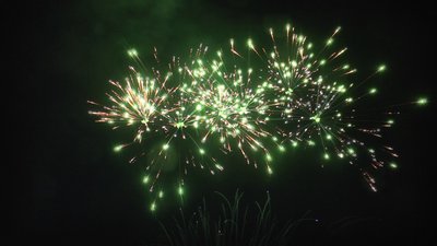 #25019 Cakes 1.2 30 shots