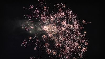 #25020 Cakes 1.2 16 shots