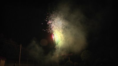 #25025 Module 盆花0.35 49发数