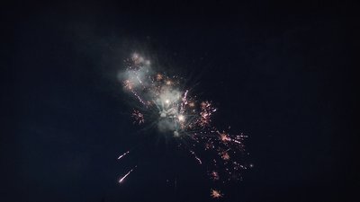 #25088 Cakes 1.0 16 shots