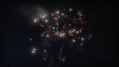 #25082 Cakes 1.2 12 shots