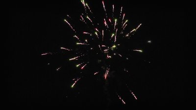 #24967 Module 盆花0.6 48发数