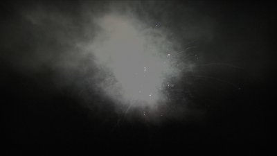 #24880 Module 盆花1.2 100发数