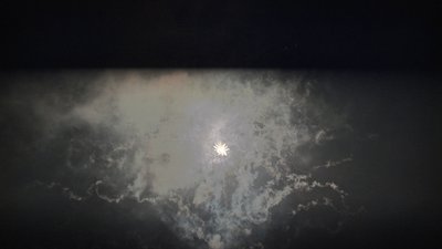 #24885 Module Cakes 1.2 100 shots