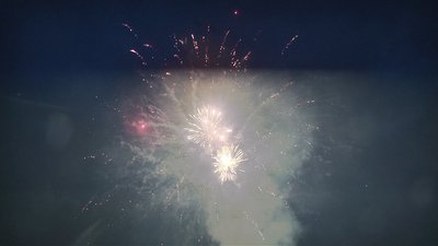 #25167 盆花1.2 61发数