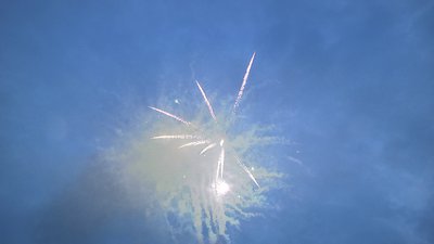 #25169 Cakes 1.2 100 shots