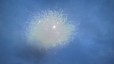 #25170 盆花1.2 100发数