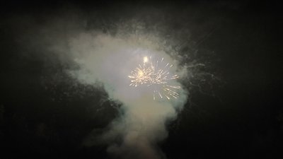 #25196 盆花27x0.8"/48x1.0"/64x1.2" 139发数