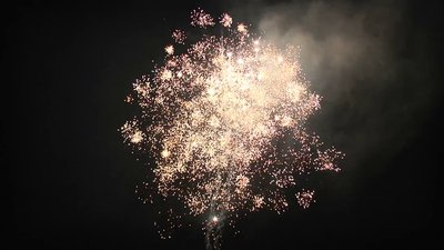 #25229 盆花1.2 100发数