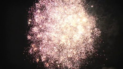 #25231 盆花1.2 150发数