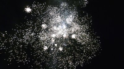 #25232 Cakes 0.8 25 shots