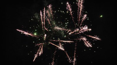 #25237 Cakes 1.2 19 shots