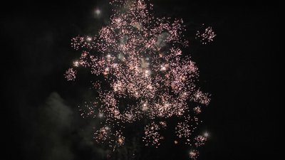 #25238 盆花1.2 21发数