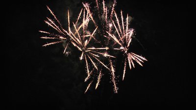 #25239 Cakes 1.2 24 shots