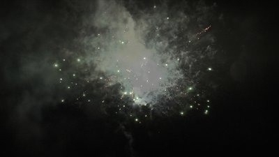 #25241 盆花1.2 49发数