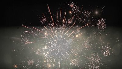 #25257 盆花1.2 150发数