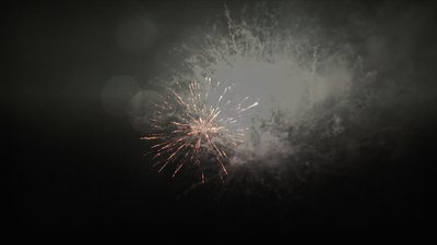 #25260 盆花1.0 100发数