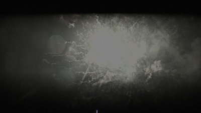 #25262 盆花1.2 100发数