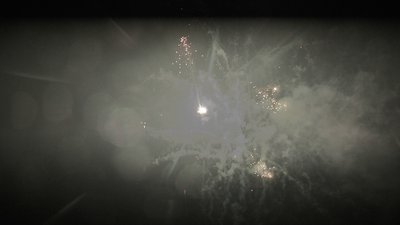 #25267 盆花1.0 200发数