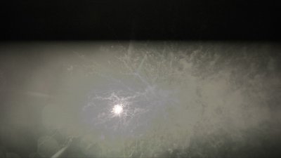 #25270 盆花1.2 196发数