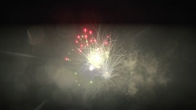 #25279 盆花1.0 100发数