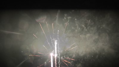 #25280 盆花1.2 100发数