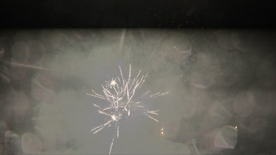 #25276 盆花1.2 100发数