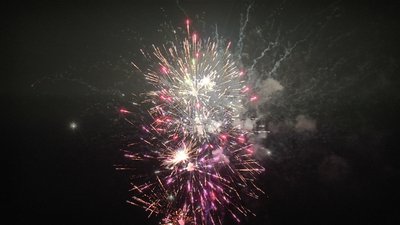 #25366 盆花1.2 49发数