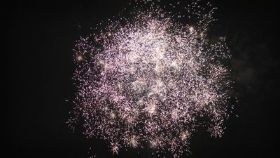 #25363 Cakes 0.6 100 shots